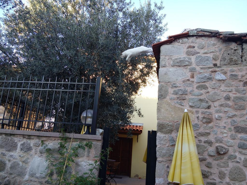 Aristonicus Boutique Hotel برغاما المظهر الخارجي الصورة